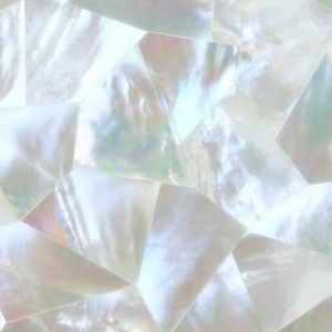 Meet your Posher, Madelyn